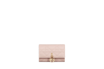 DIOR GLYCINE WALLET