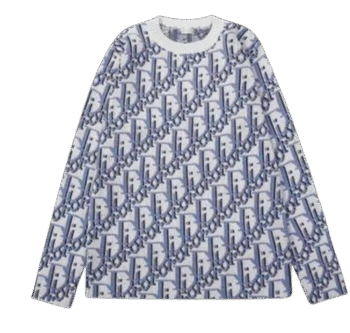 Hoodie Dior